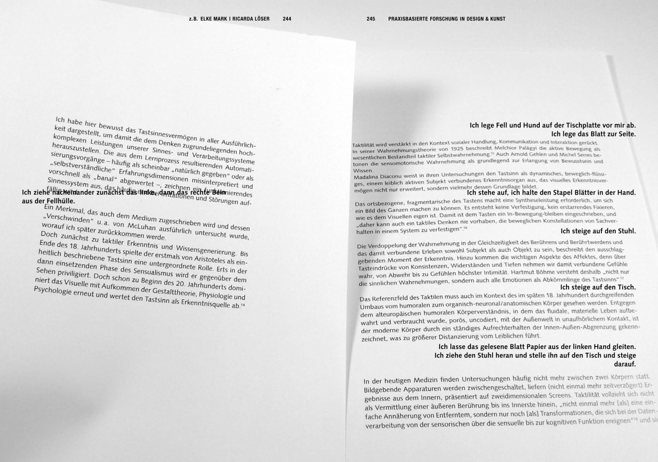 books/z-b-2-alles-8-ricarda-endfassung-4